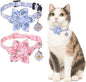 Breakaway Cat Collars for Girl Boy Cats, 2 Pack Cute Kitten Collar by DILLYBUD