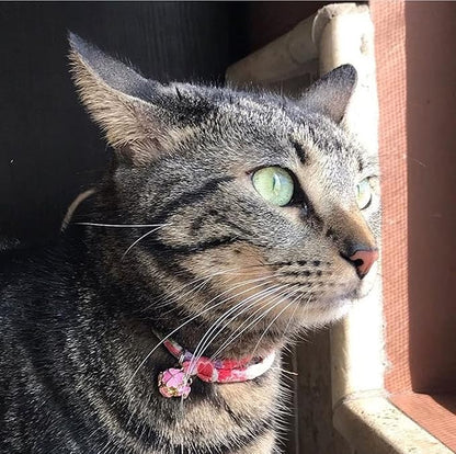 PetSoKoo Four-Leaf Clover Cat Collar - Image 6
