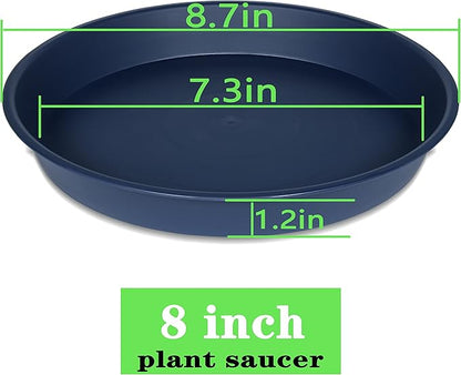 2 Pack of 8 inch Plant Saucer Clear, Heavy Duty Plastic Plant Water Tray 8 inch - Image 2