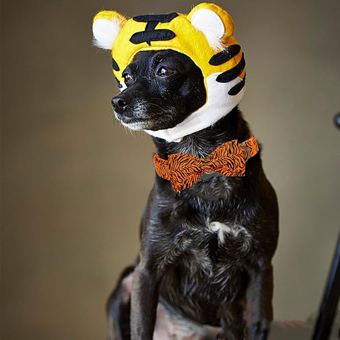 Elegant Little Tail Tiger Print Dog Collar, Unique Seasonal Design, Buckle - Image 5