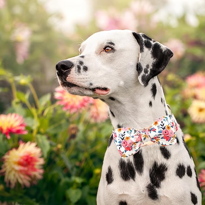 Lionheart glory Dog Collar Bow Collar Floral Dog Collar - Image 6