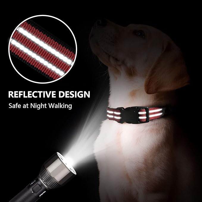 Martingale Dog Collar, Adjustable Nylon Reflective Collar - Image 2
