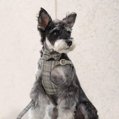 Beirui Cute Small Dog Harness Collar and Leash Set - Image 3