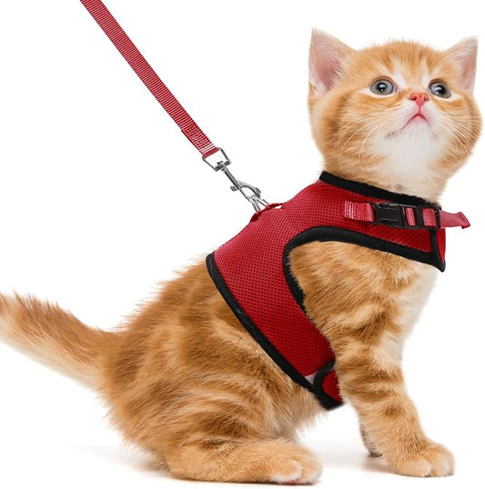 PUPTECK Soft Mesh Cat Vest Harness and Leash Set Puppy Padded Pet Harnesses by PUPTECK