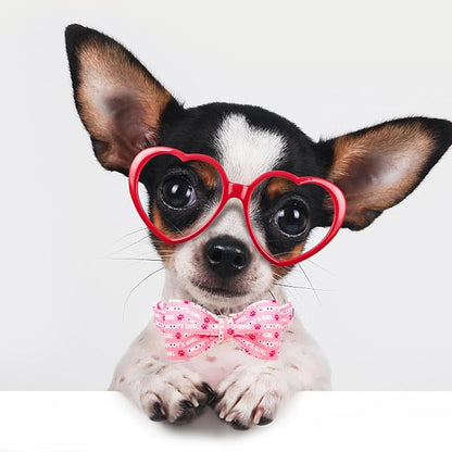 Lionheart Glory Bow Collar for Valentine's Day and Spring - Image 5
