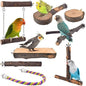 Bird Perches by DBNESS