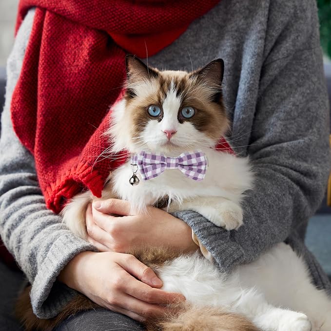2 Pcs Kitten Collar with Bell Cute Cat Collar - Image 5