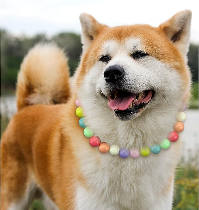 Hosiwei Dog and Cat Rainbow Beads Collar Necklace, Faux Pearls Necklace Pet - Image 4