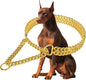 Gold Dog Chain Collar Stainless Steel 18K Gold Collar Adjustable Walking by KINGOLDOS