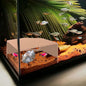 Natural Shrimp Cave for Aquarium – Safe Fish Tank Decor, Breeding Hideout for by CPLIKE