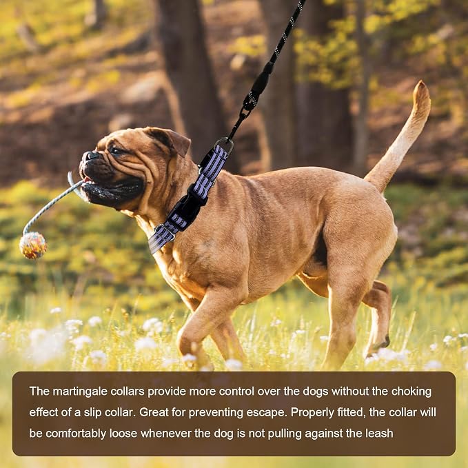 Hikiko Martingale Dog Collars Reflective Nylon Dog Collar - Image 5