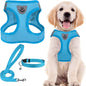 PUPTECK Adjustable Dog Harness Collar and Leash Set Step in No Pull Pet Harness by PUPTECK