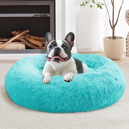 JOLLYVOGUE Calming Small Dog & Cat Bed by JOLLYVOGUE