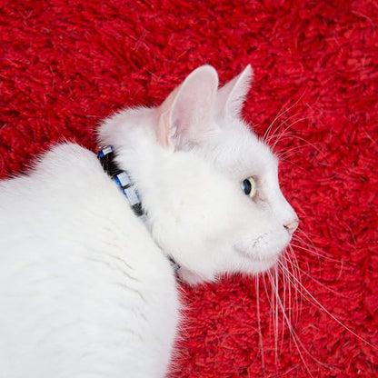 Reflective Cat Collar with Bell, Solid & Safe Collars - Image 6