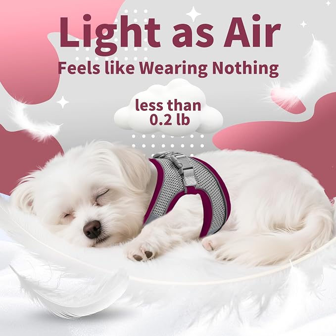 AIITLE Dog Harness, Christmas No-Pull Cat Harness - Image 5