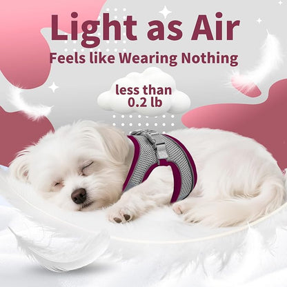 AIITLE Escape Proof Dog Harness - Image 8