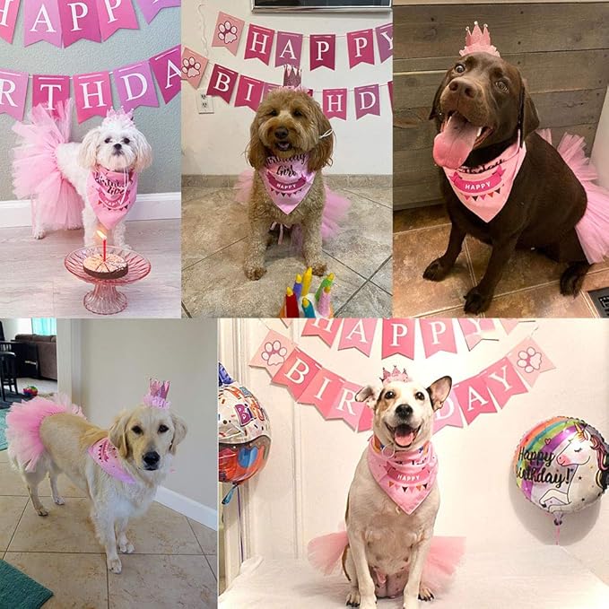 ADOGGYGO Dog Birthday Hat Bandana Girl - Image 3