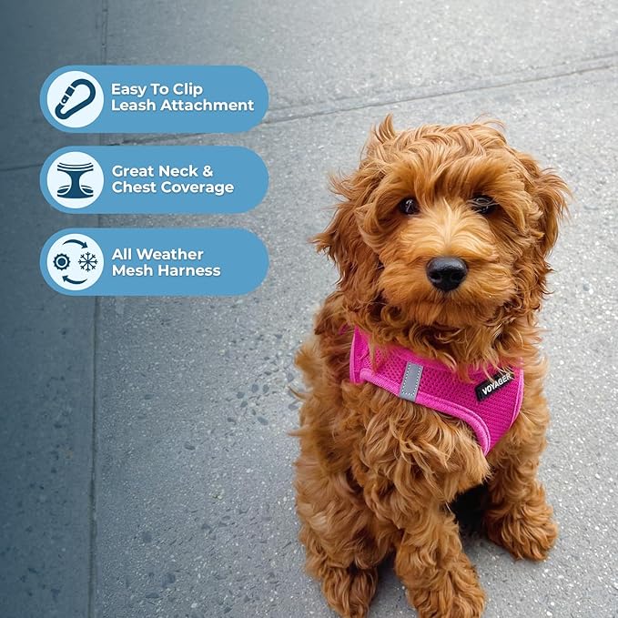 Best Pet Supplies Voyager Step-in Air All Weather Mesh Harness and Reflective - Image 6