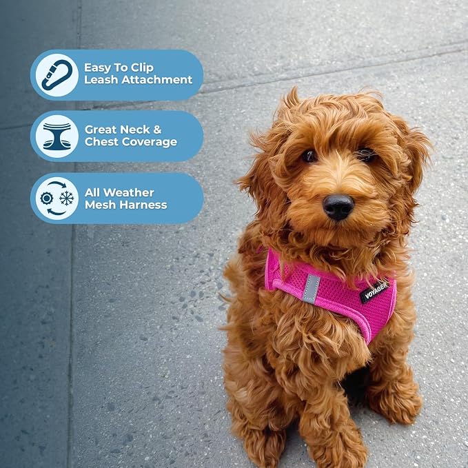 Best Pet Supplies Voyager Step-in Air All Weather Mesh Harness and Reflective - Image 6