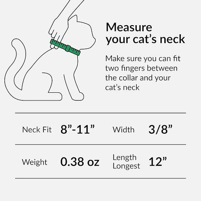 CollarDirect Leather Cat Collar, Kitten Collar - Image 2