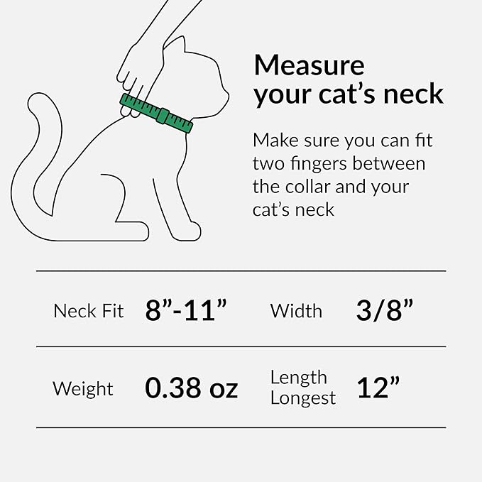 CollarDirect Leather Cat Collar - Image 4