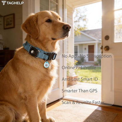 Smart QR Code Pet ID Tag for Dogs - Image 7