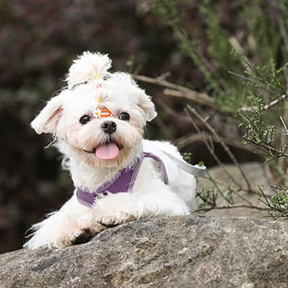 AIITLE Easy Walk Dog Harness and Leash Set - Image 9