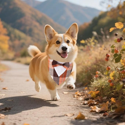 ADOGGYGO Fall Dog Tuxedo Bandana, Adjustable Halloween Thanksgiving Costume - Image 3