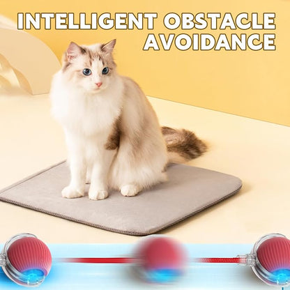 Chewie Viral 360 Smart Automatic Rolling Pet Ball - Image 5