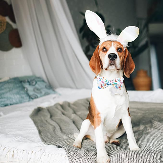 Lionheart glory Easter Dog Collar - Image 4