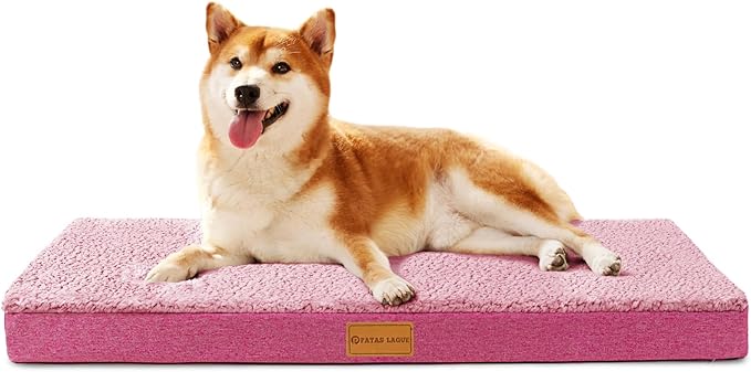 Patas Lague Orthopedic Dog Bed Large Sized Dog 36''X24'', Soft Waterproof Egg by PatasLague