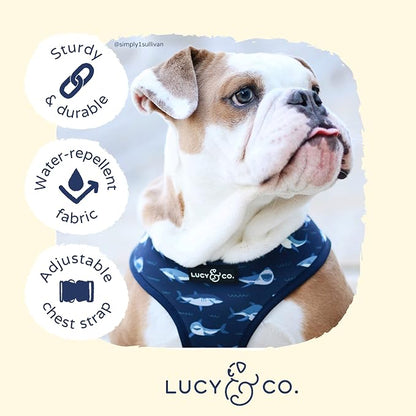 Reversible Dog Harness Walking Halter - Image 4
