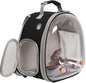 Small Bird Travel Backpack Carrier Cage, Backpack to Transport Backpack Carrier by halinfer