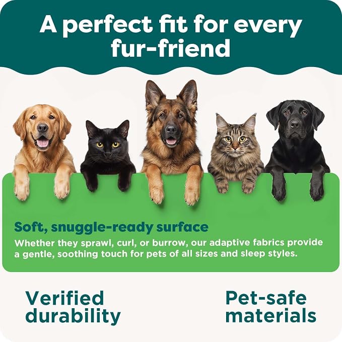 Furhaven Dog Bed for Small Dogs & Indoor Cats, 100% Washable, Sized to Fit - Image 8