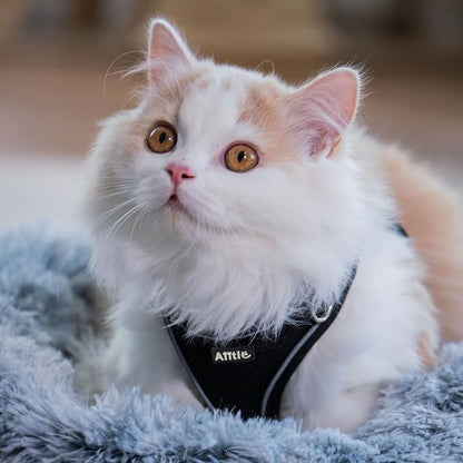 AIITLE Dog Harness, No-Pull Cat Harness - Image 3