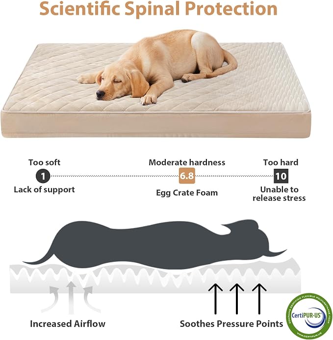 WNPETHOME Orthopedic XL Dog Beds Large Sized Dog, Waterproof Extra Large Dogs - Image 3