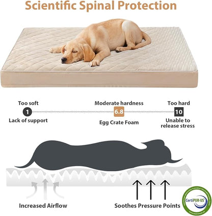 WNPETHOME Orthopedic XL Dog Bed - Image 3