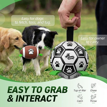QDAN Dog Soccer Ball Football Set - Image 6