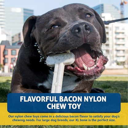 Bullibone Nylon Dog Chew Toy for Aggressive Chewers - Image 3