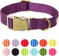 Nylon Dog Collar by Babolepet