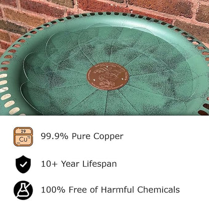 Erva Copper Bird Bath Purification Disk - Image 2