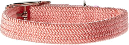 Kool Kat Elastic Cat Safety Collar by OmniPet%C2%AE