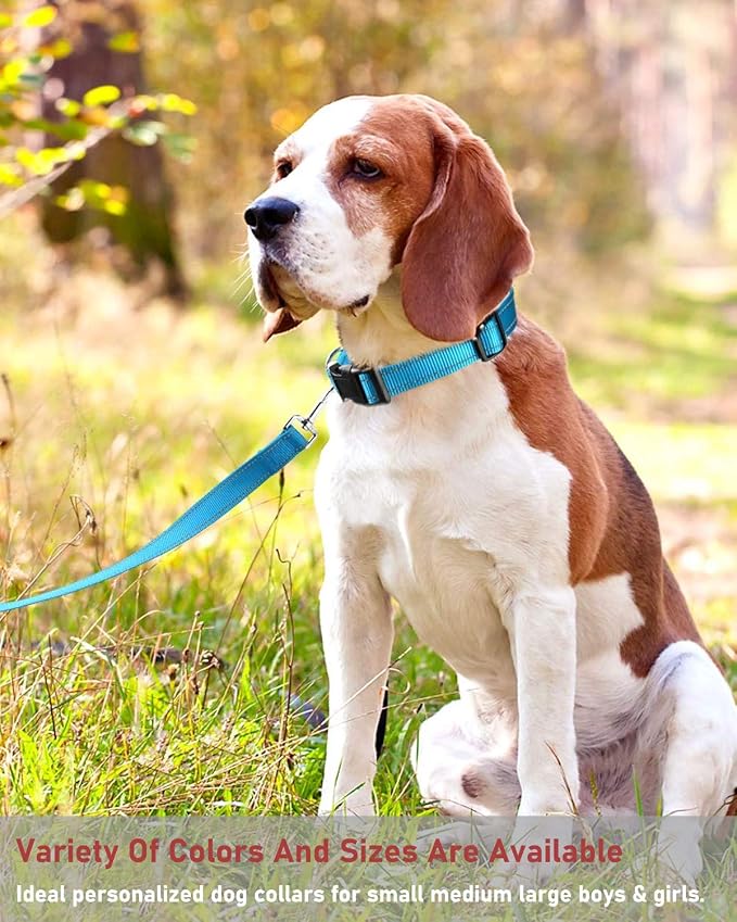 Reflective Dog Collar with Buckle Adjustable Safety Nylon Collars - Image 6