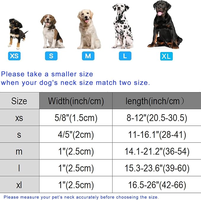 DOGWONG Fall Maple Dog Collar- Cute Classic Fall Autumn Flower Dog Collars - Image 6