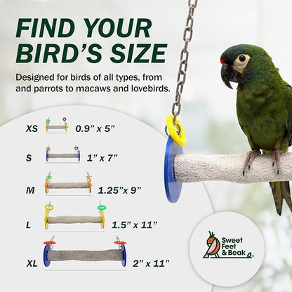 Sweet Feet and Beak Bird Swing - Image 3