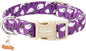 Faygarsle Halloween Dog Collar by Faygarsle