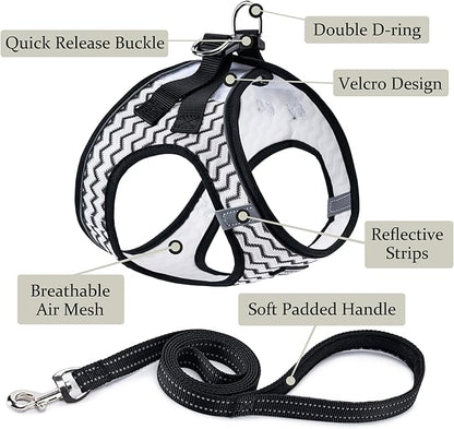 Dog Harness with Leash Set, No Pull Adjustable Reflective Step-in Puppy Pet - Image 2