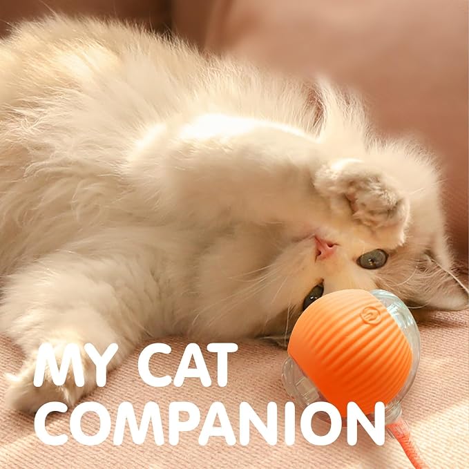 Rocfish Interactive Cat Toy for Indoor Cat, Smart Automatic Cat Chase Ball Toy - Image 7
