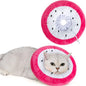 ANWA Adjustable Cat Cone Collar Soft, Cute Cat Donut Collar After Surgery by ANWA