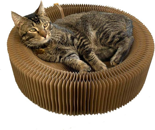 Cat Scratcher Lounge Bed by BobbyPet
